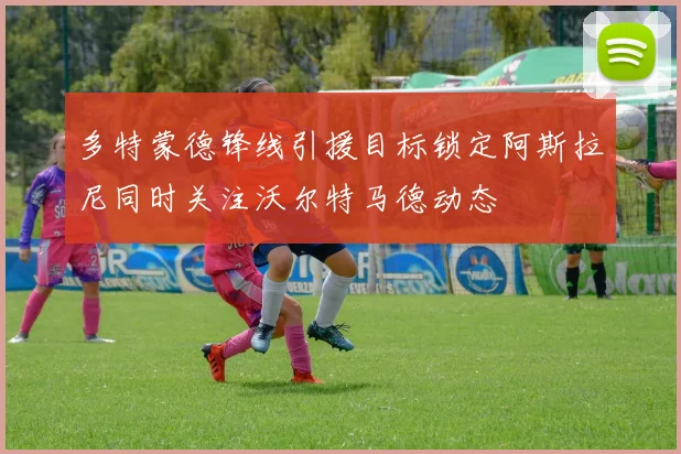 多特蒙德锋线引援目标锁定阿斯拉尼同时关注沃尔特马德动态