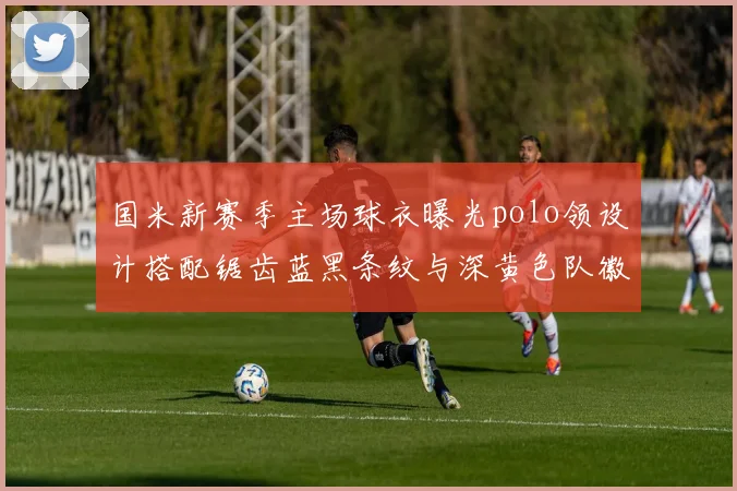 国米新赛季主场球衣曝光polo领设计搭配锯齿蓝黑条纹与深黄色队徽