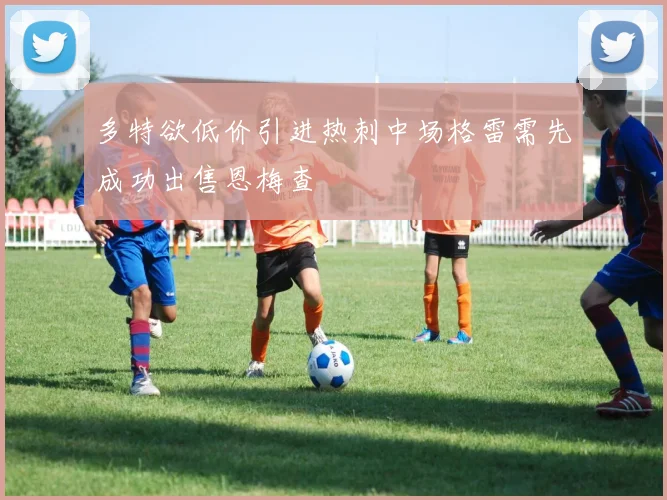多特欲低价引进热刺中场格雷需先成功出售恩梅查